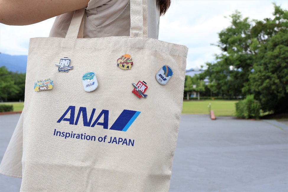 ピンズ使用例