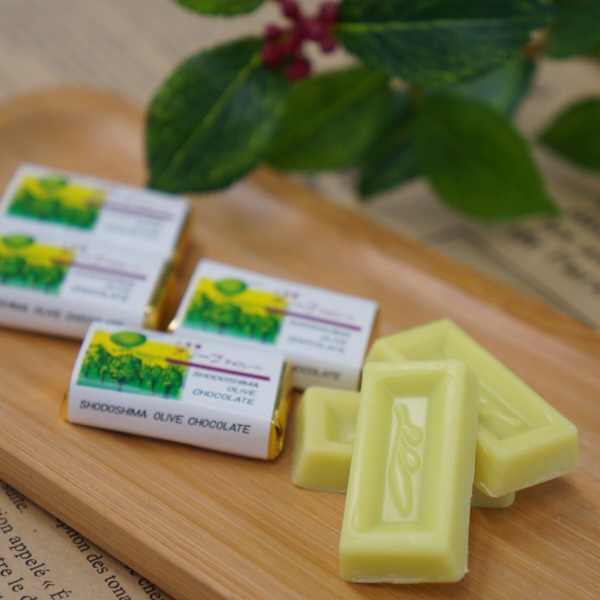 オリーブチョコレート