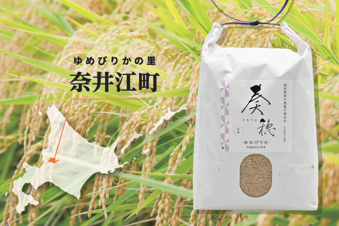 北海道奈井江町産ゆめぴりか「奏穂」